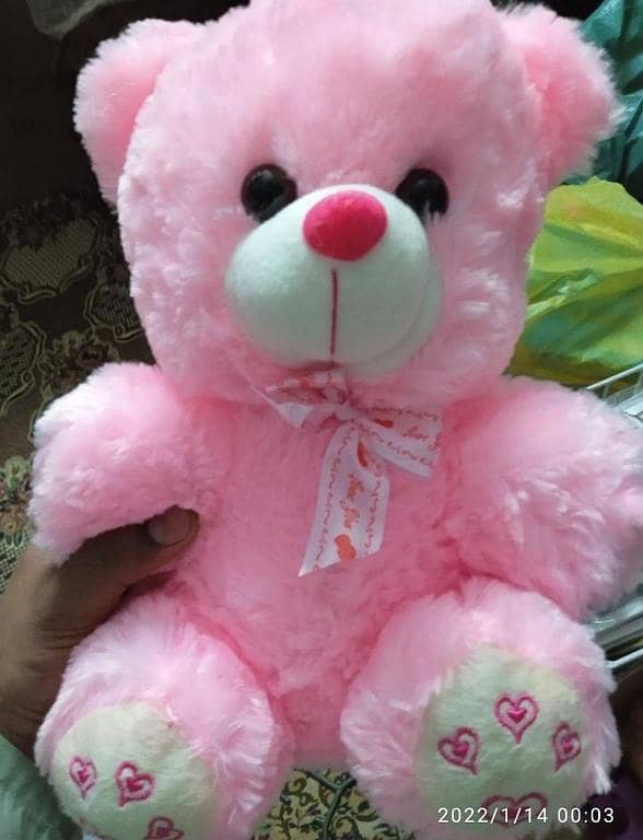 10-Inch Cute Teddy Stuff Bear for Kids