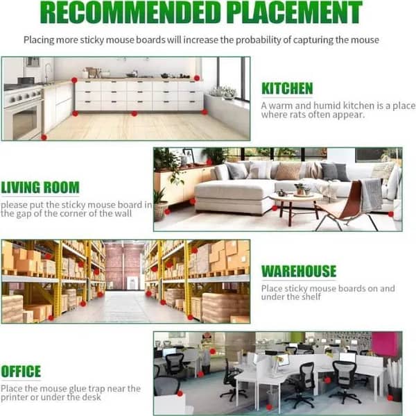 Mouse & Rat Bond traps Rat Catcher Book-Mouse catcher Book