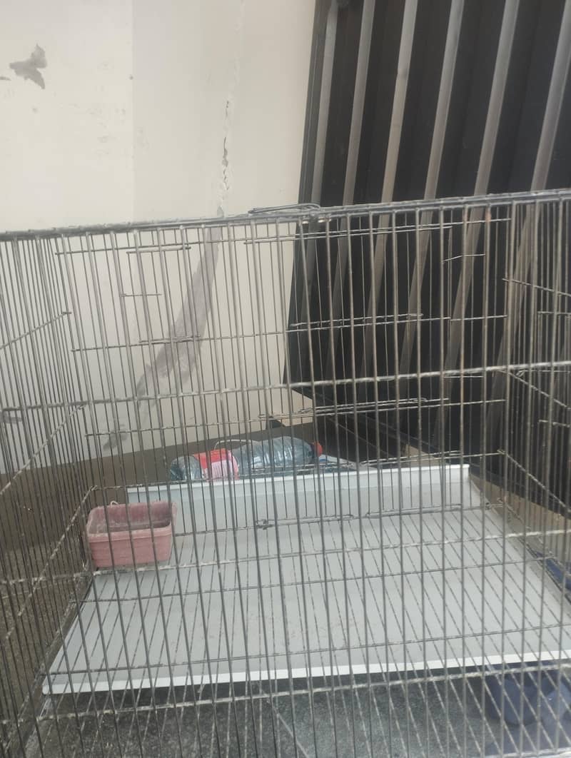 cages 0