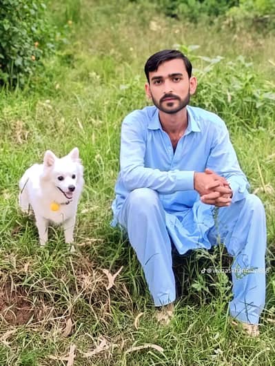 Waqas khan niazi