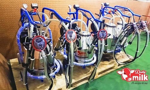 Milking machnes ,anufacturer in Pakistan - Dairy Fans- Showering