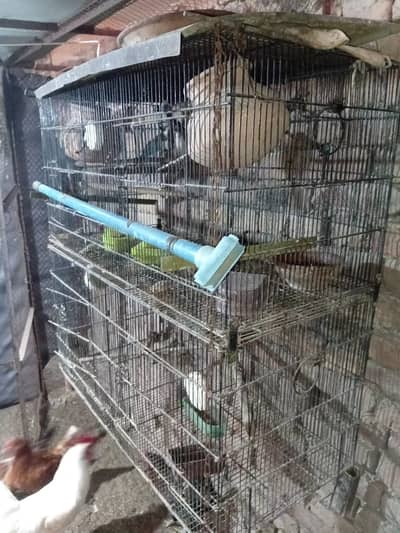 Cage for Sale