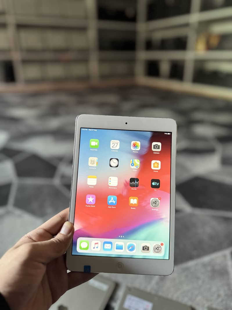 iPad mini 2 0