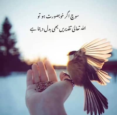 Urgently Chef & Laundry Man required for home