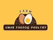 Umar Farooq poultry farm