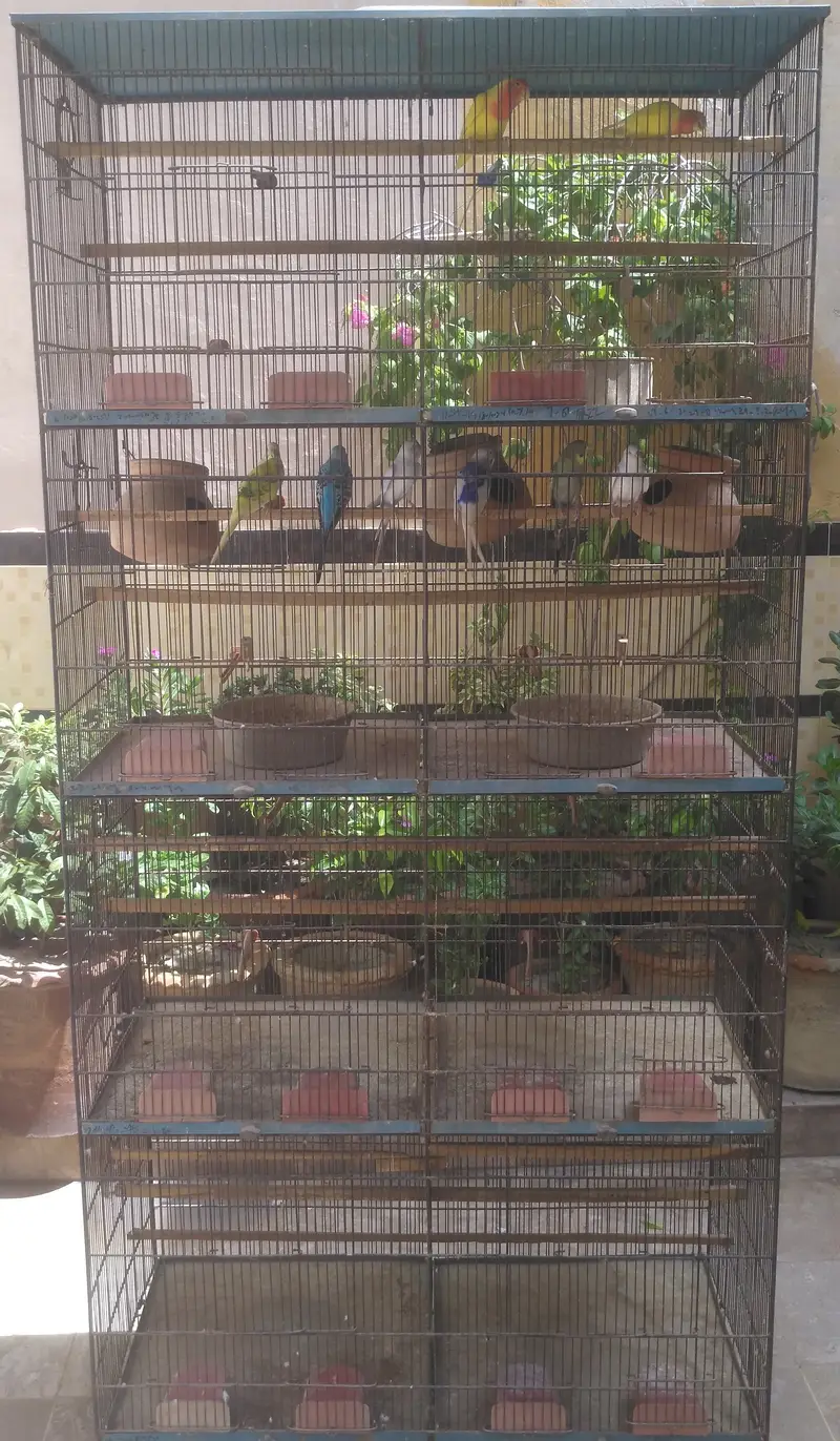 Iron Bird Cage | 4 Floors | 8 Portions | Parrot / Hen Cage | MULTAN