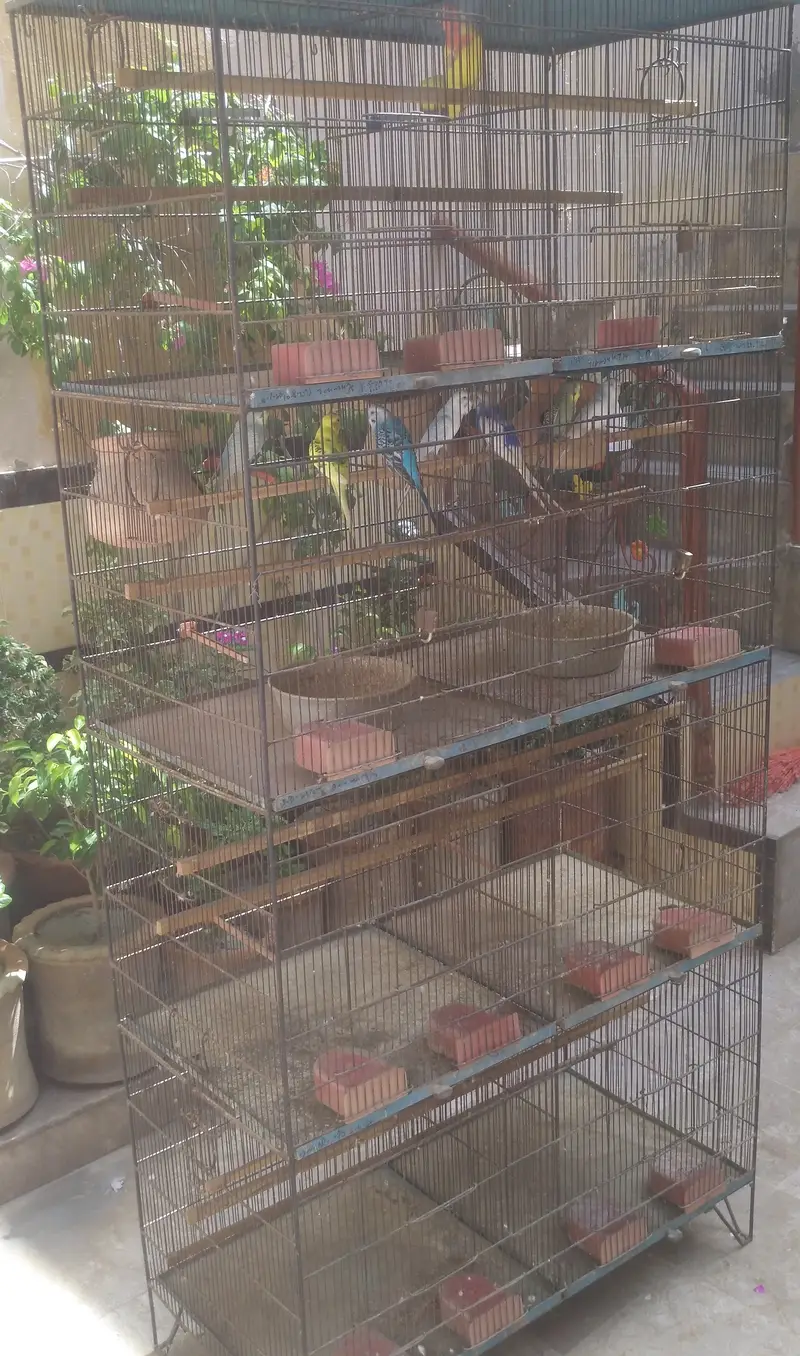 Iron Bird Cage | 4 Floors | 8 Portions | Parrot / Hen Cage | MULTAN — photo 2