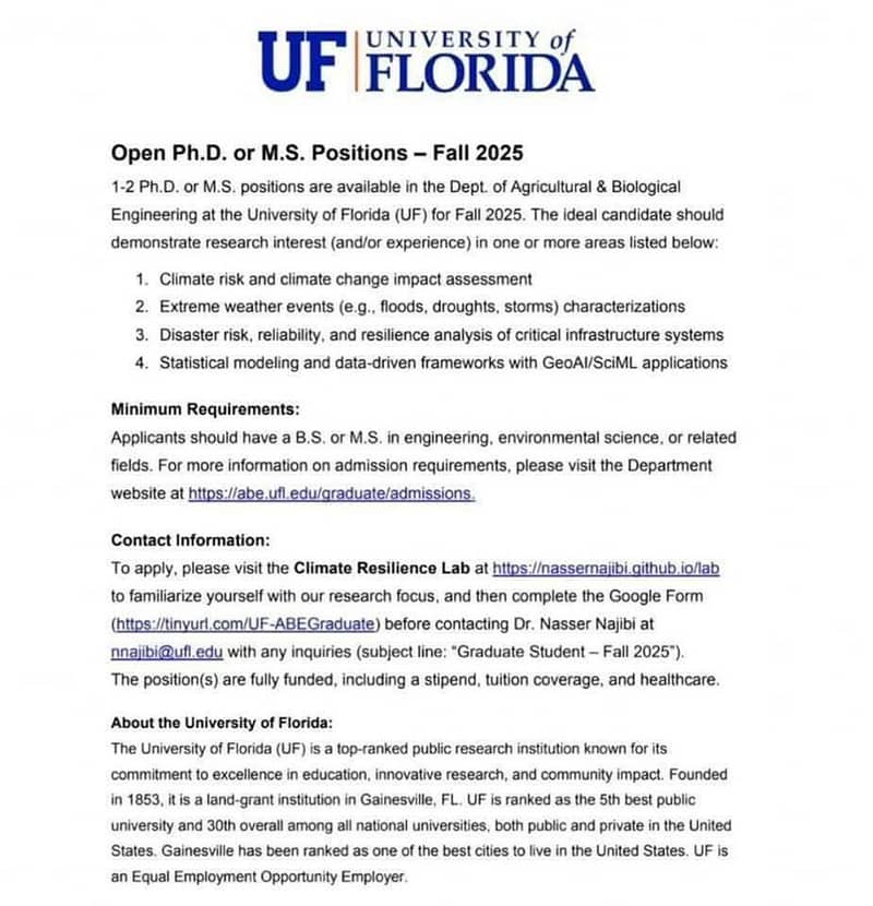 thesis, article,  (ebook) assignment 0