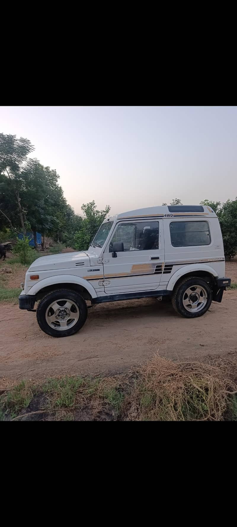 Suzuki Potohar 3
