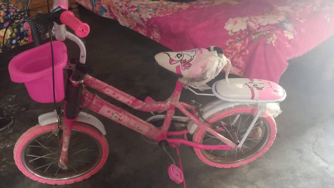 Bycycle For Kids 1