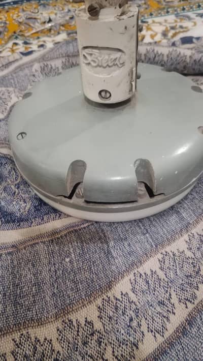 Asia 56 Breeze Ceiling Fan