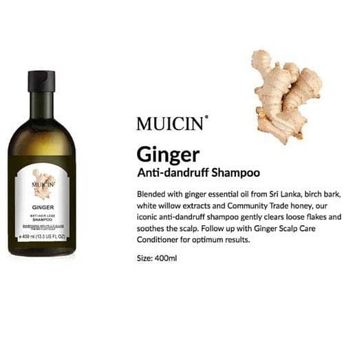 Original Gin-ger Anti-Hair Loss Shampoo, 400ml - Stimulates and Nourishes Hair in Pakistan