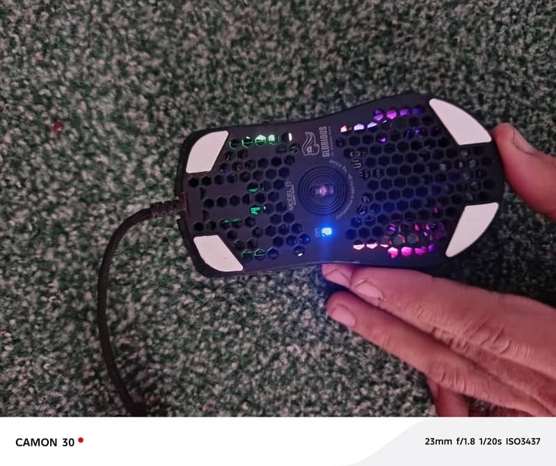 glorious mouse 10