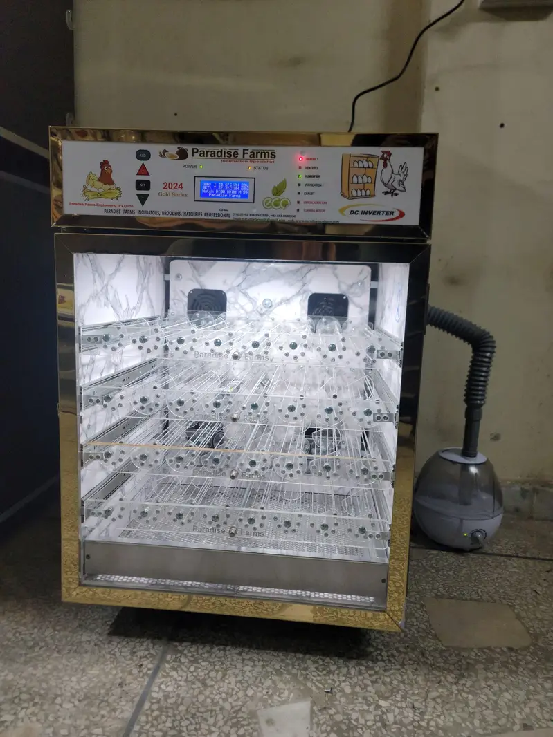 incubators fully automatic german technology — photo 3