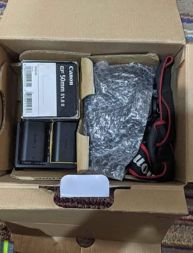 CANON 60D CAMERA BODY + 50 mm lens + SOFT BOX