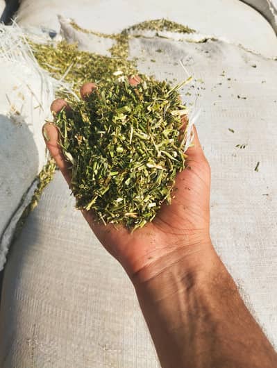 Alfalfa Hay Supreme