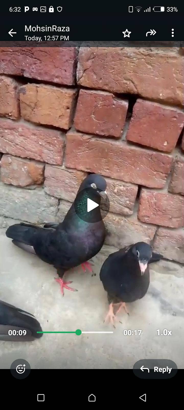 zakh paire withe 2 cheks 0