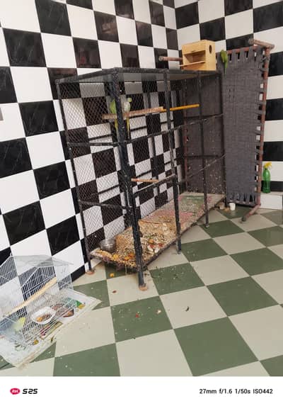 steel cage for any brid