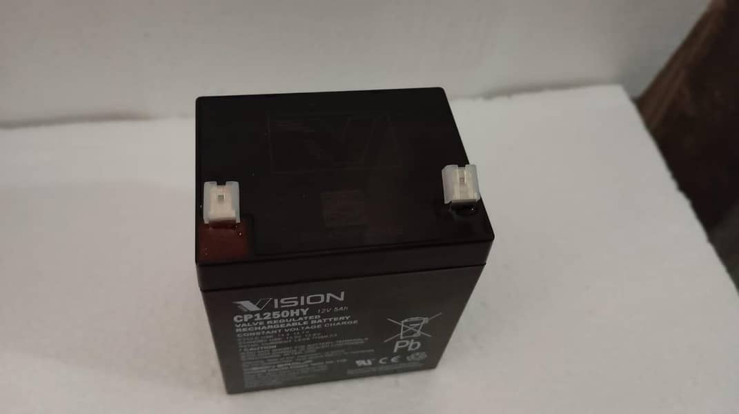 dry batteries 10