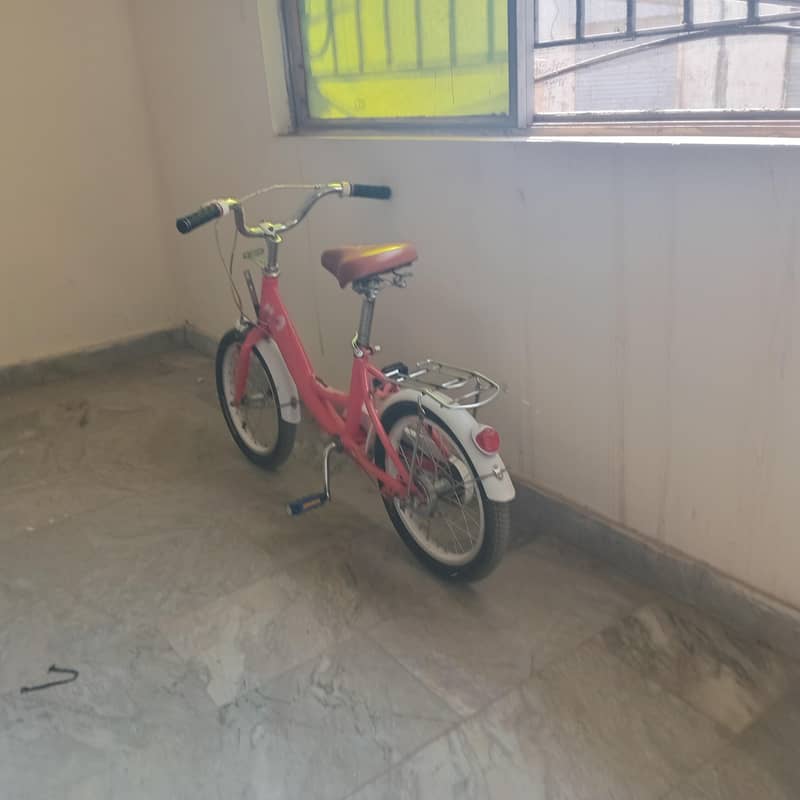 2سائیکلیں برائےفروخت 11