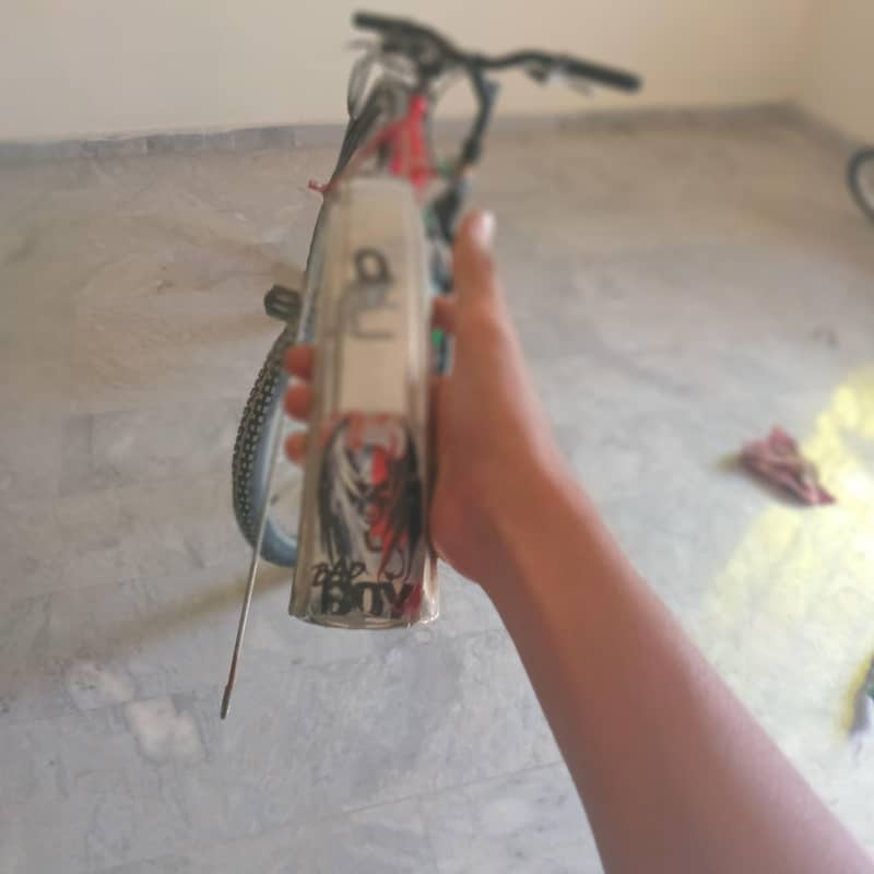 2سائیکلیں برائےفروخت 19