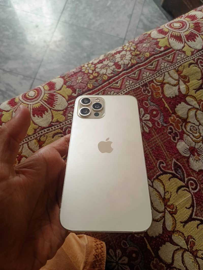 12 pro max (ماسٹرکاپی) 13