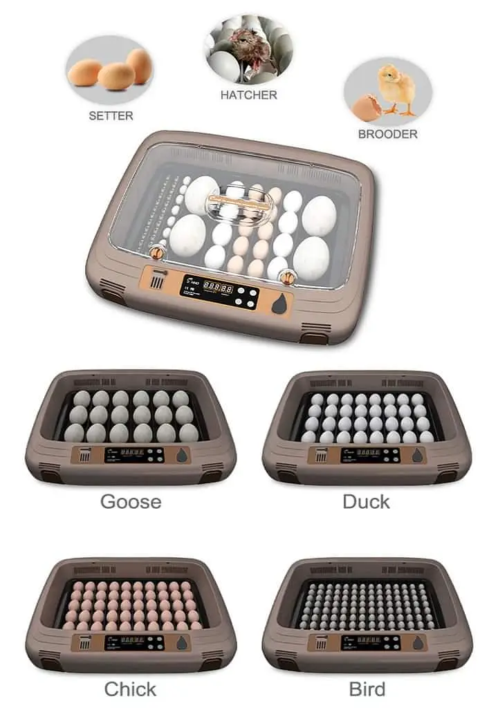 Parrots Eggs incubator | Hatching machine | automictic incubator — photo 3