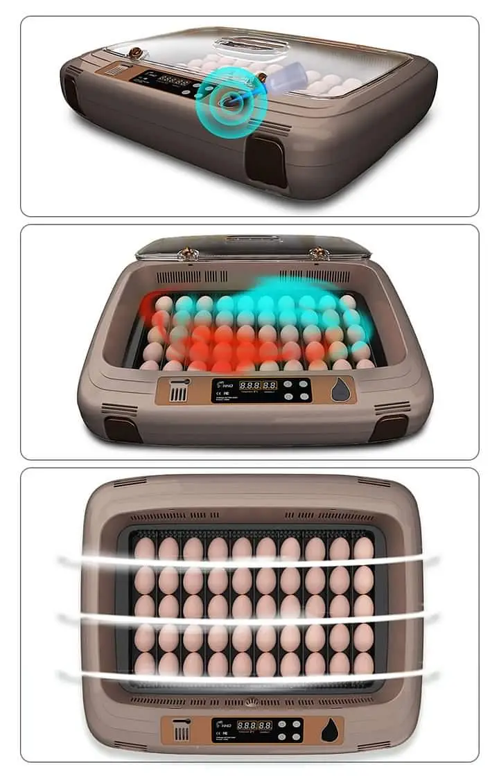 Parrots Eggs incubator | Hatching machine | automictic incubator — photo 4