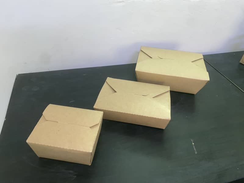 Packaging Boxes & Cartons for everything 3