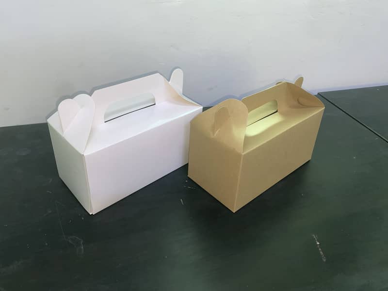 Packaging Boxes & Cartons for everything 5