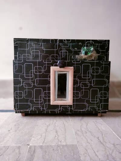 Incubator