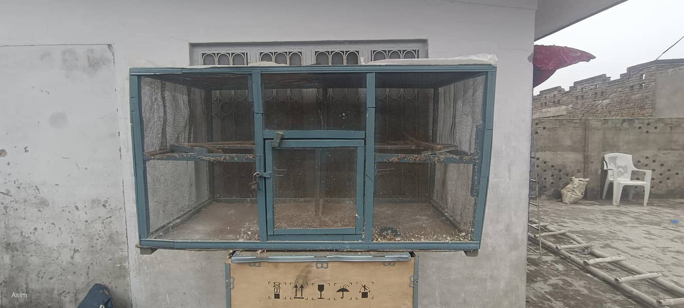 birds cages 1