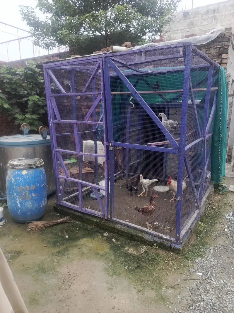 wooden cage
