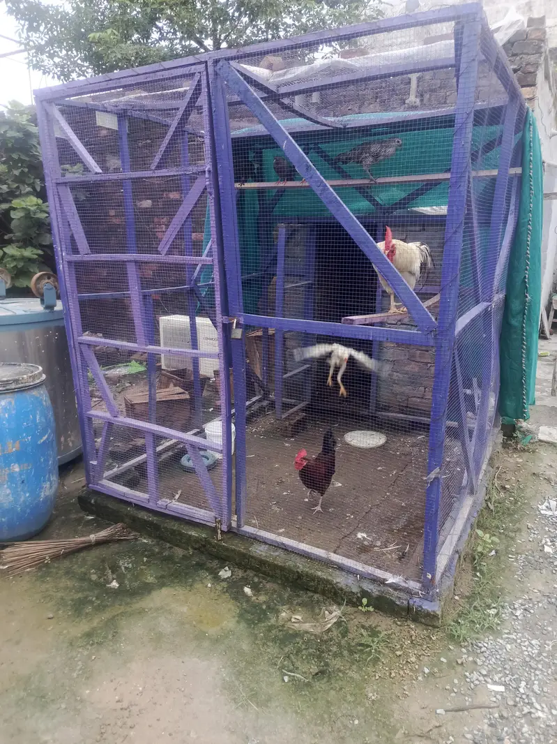wooden cage — photo 4