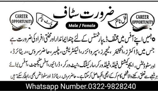 career opportunities