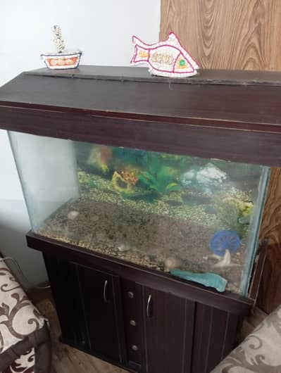 Aquarium for Sale 2.5 feet