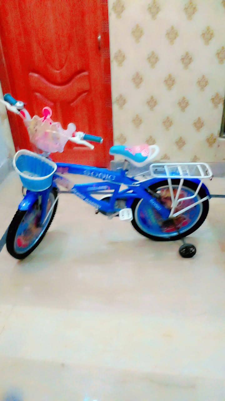 barbi cycles 0