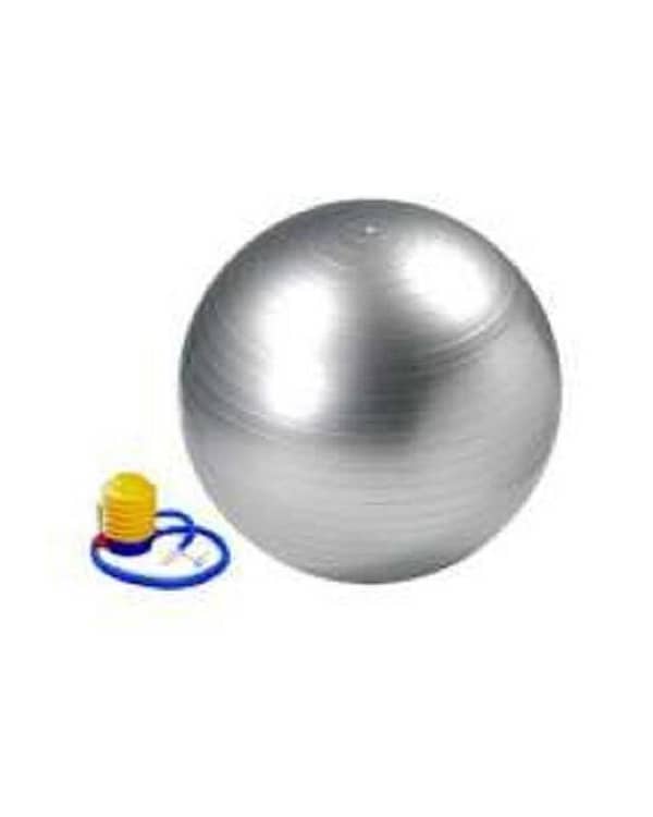Silver Gym Ball with Pump - 85cm Diameter