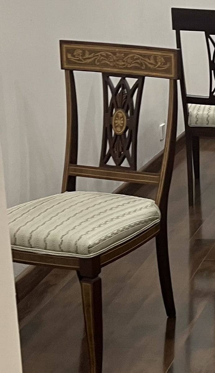 Solid Sheesham Inlay Dining table with 10 chairs 6