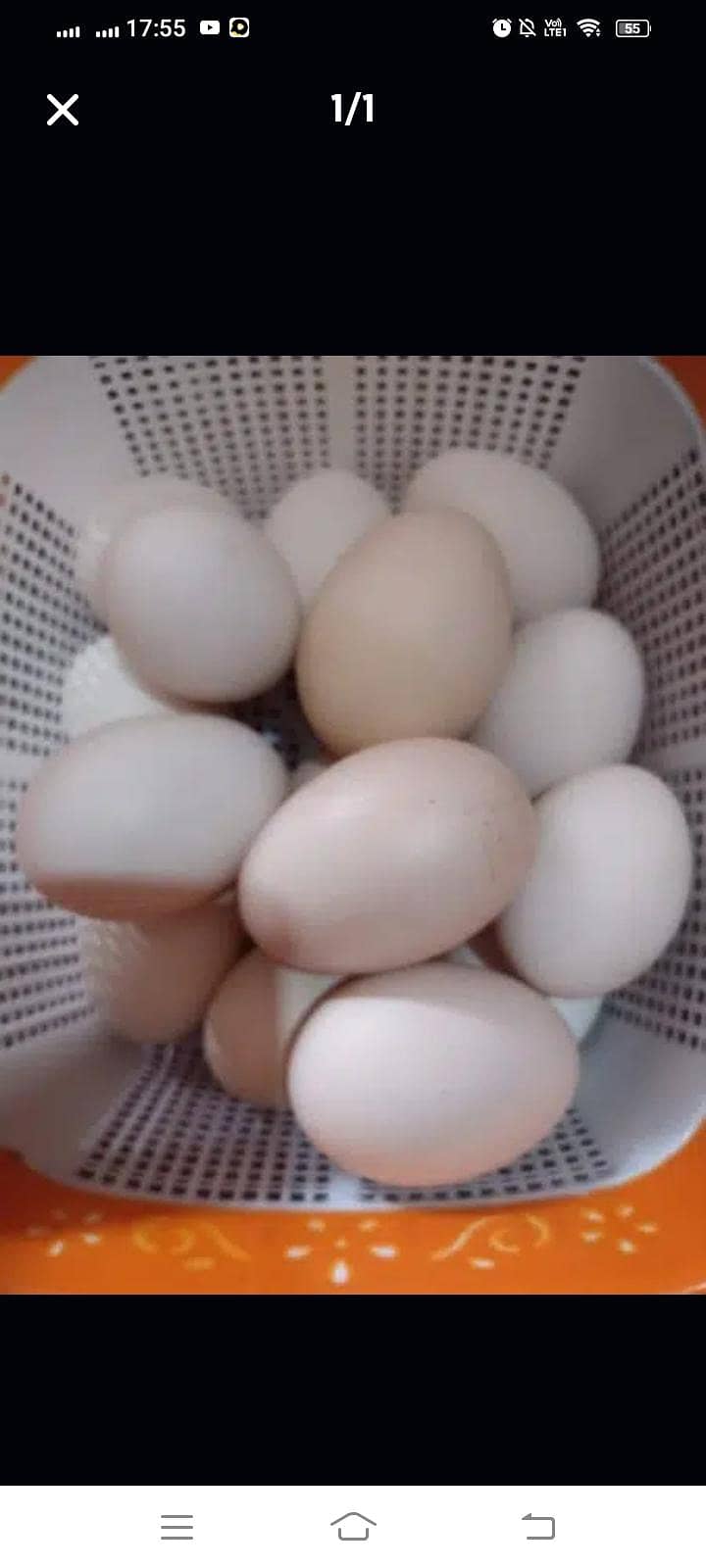 Desi eggs 0
