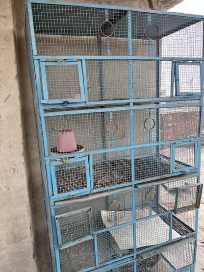 Iron birds cage heavy weight cage 40 kg