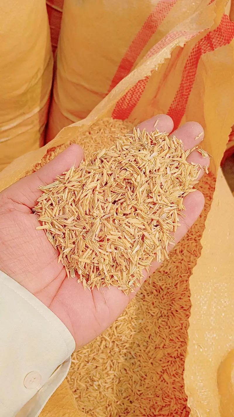 Rice Husk Lahore Delivery All Pakistan Chawal ka Chilka Bhoosa — photo 2