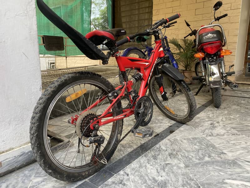 Phoenix cycle for kids 0