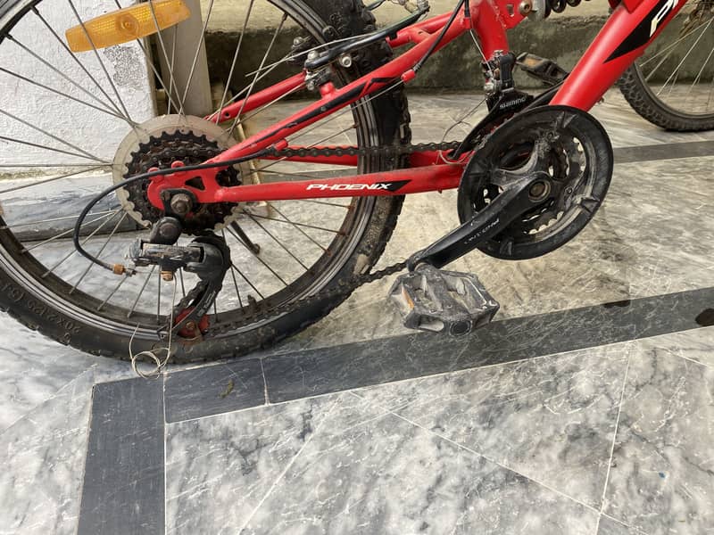 Phoenix cycle for kids 2