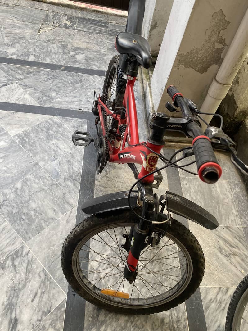 Phoenix cycle for kids 3