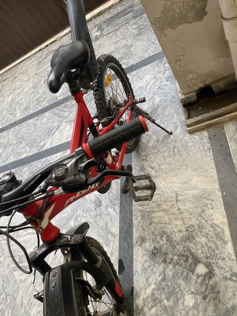 Phoenix cycle for kids 4