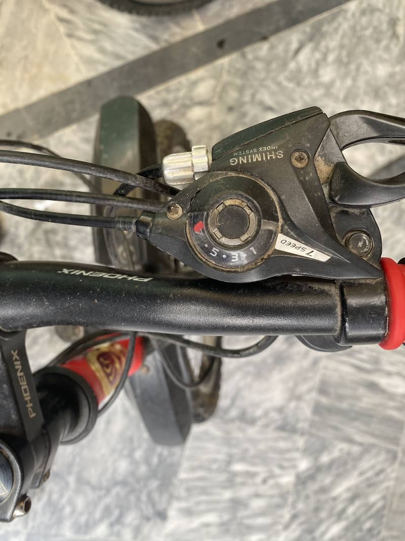 Phoenix cycle for kids 5