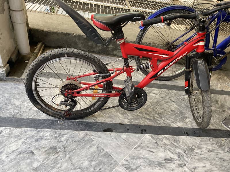 Phoenix cycle for kids 6