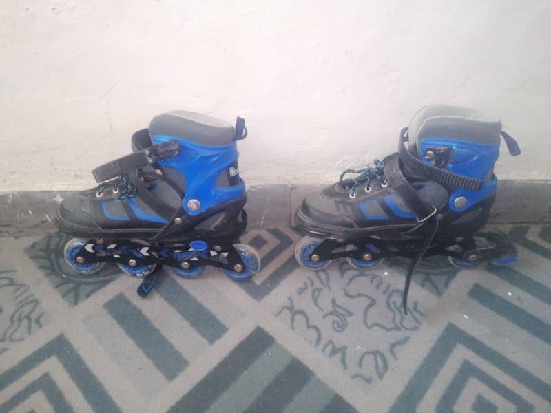 roller skates 2