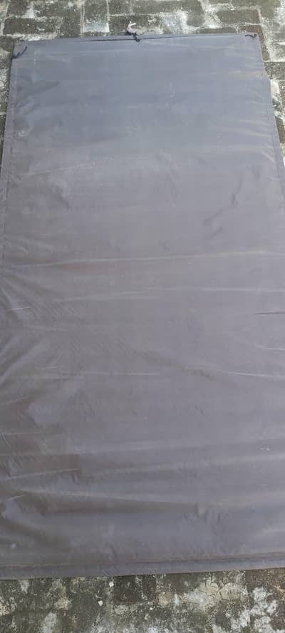 bambo chick For Sale